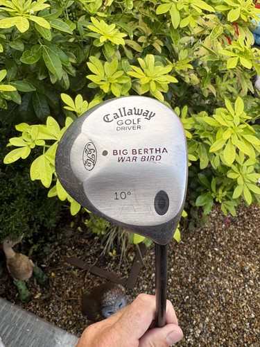 Callaway big bertha war - big, bird